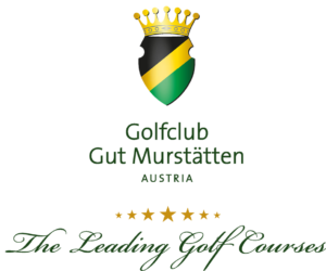 GCM_Logo_Sterne_160518_Seite_3